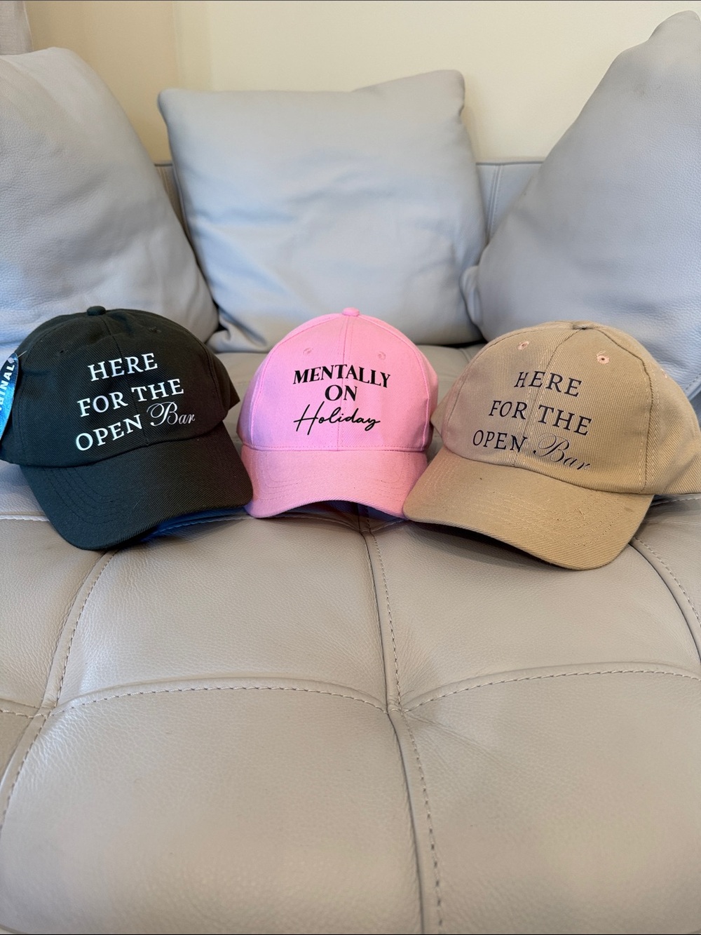 NWT 3 Embroidered Baseball Hats
